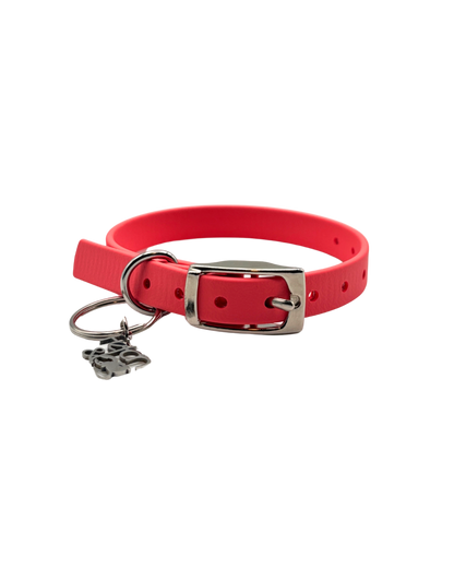 Traditional Buckle Collar