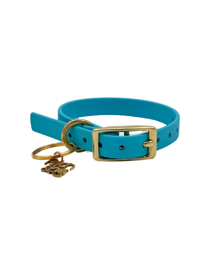 Traditional Buckle Collar