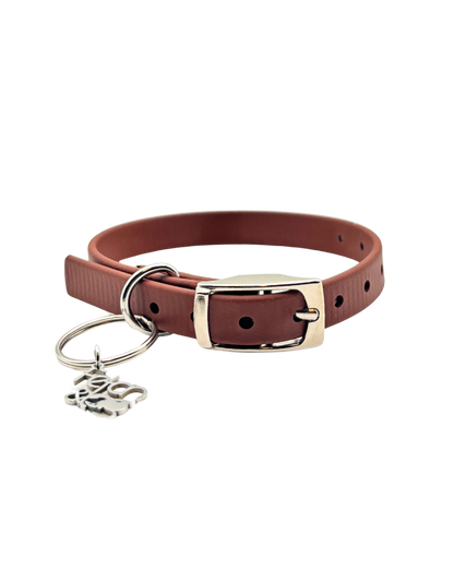 Traditional Buckle Collar