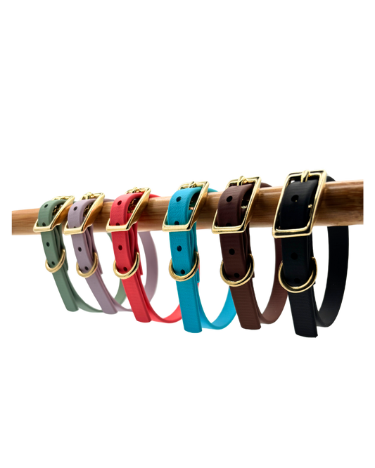 Traditional Buckle Collar